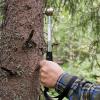 Молоток для определения прироста стоящих деревьев Haglof